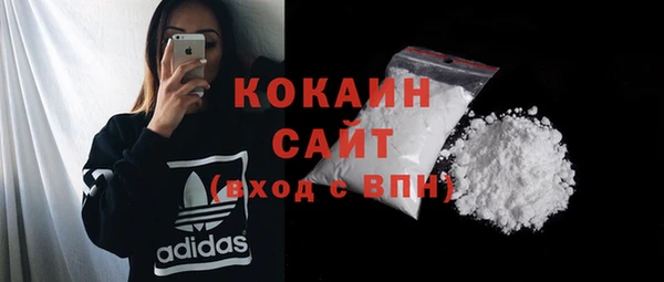 дживик Абинск