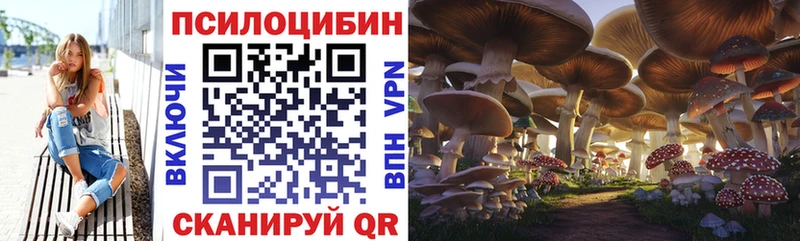 Псилоцибиновые грибы мицелий OMG ТОР Протвино