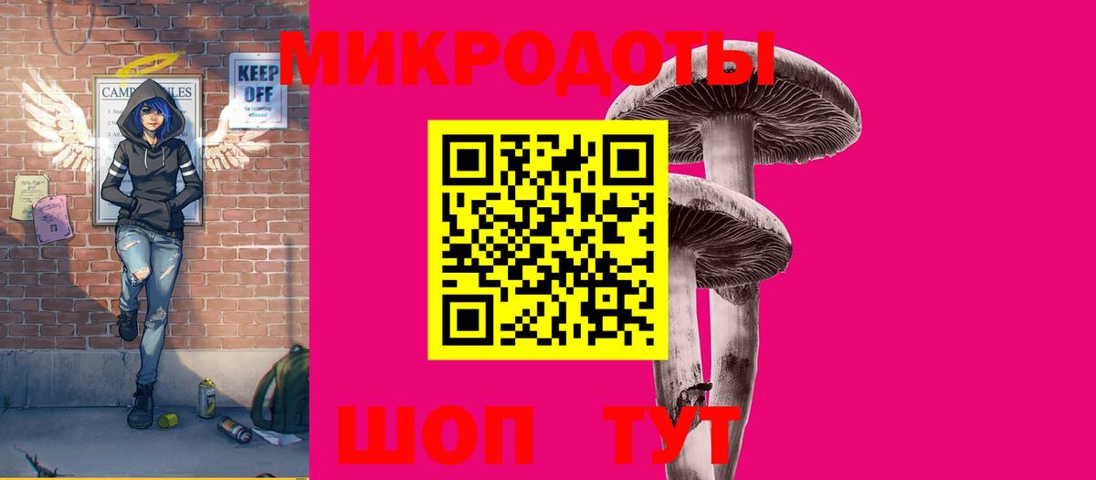 Псилоцибиновые грибы Psilocybe  Вход с VPN  где купить наркоту  Псилоцибиновые грибы мухоморы  Протвино 