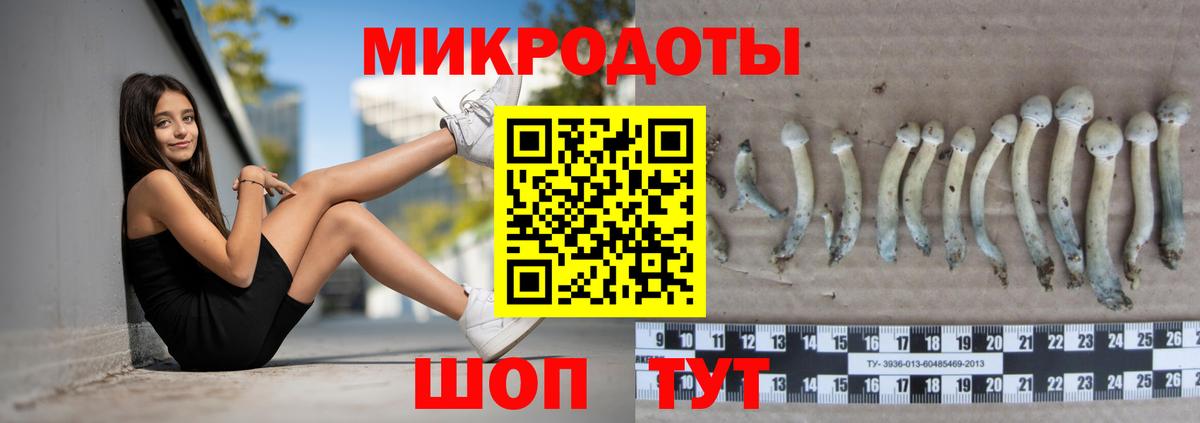 Псилоцибиновые грибы прущие грибы Протвино